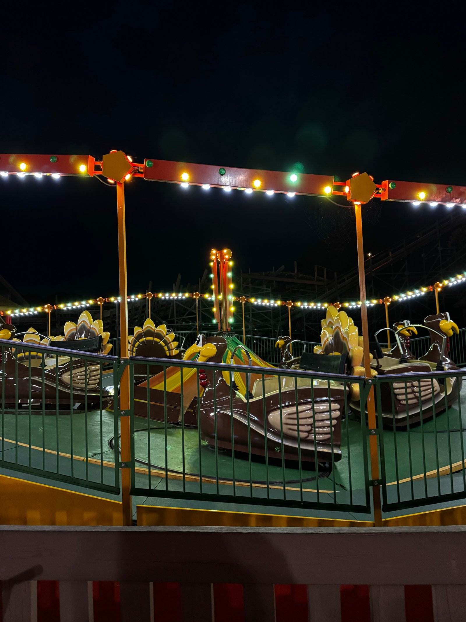Turkey Whirl