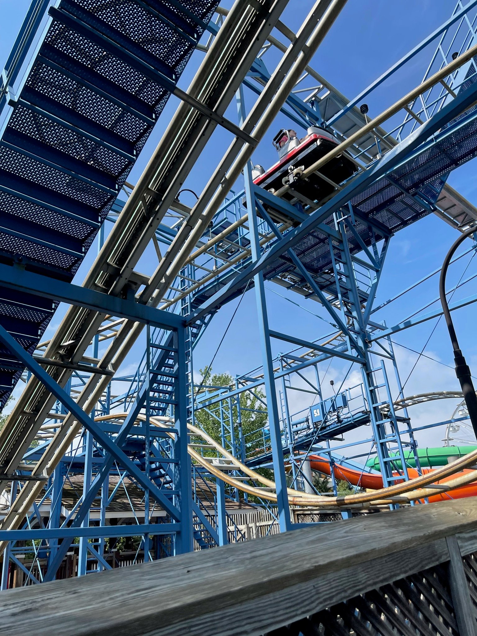 Wild Mouse